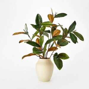 Studio McGee x Threshold Large Potted Plant Magnolia Leaf